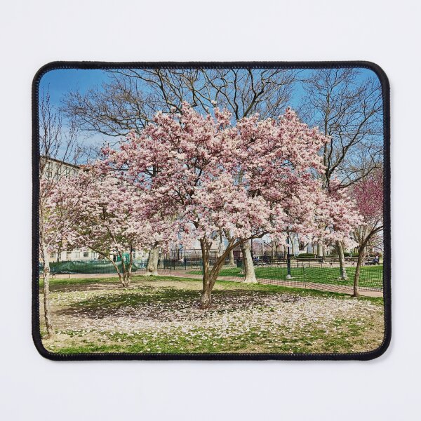 Item preview, Blooming Tree during Spring in Elysian Park Hoboken  designed and sold by Kurt Gardiner.