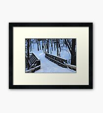 Winter's Last "Leg" :) Framed Print