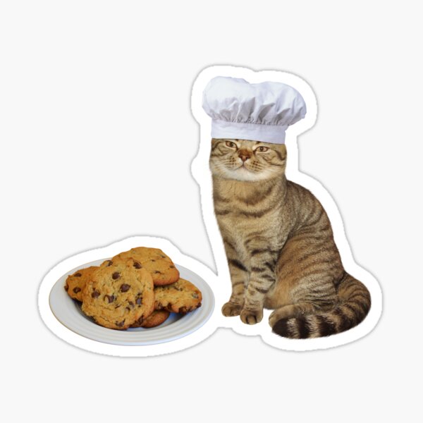 cat baking cookies