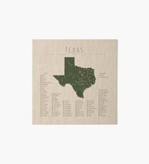 Texas Parks Art Board