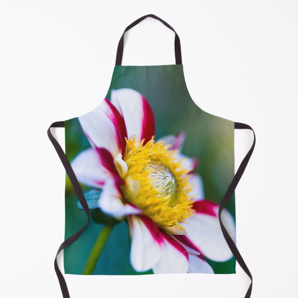 Item preview, Red, White and Yellow vibrant Dahlia flower designed and sold by CyaniRose.
