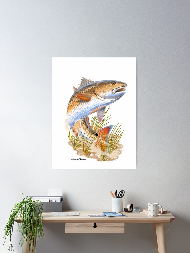 Imagen 1 de 3, Póster con la obra Redfish in grass, diseñada y vendida por Bluemarlin.