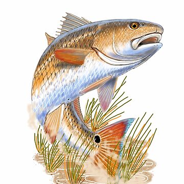 Imagen de la obra Redfish in grass de Carey Chen