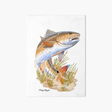 blake fishing Art Board Print for Sale by fishiee