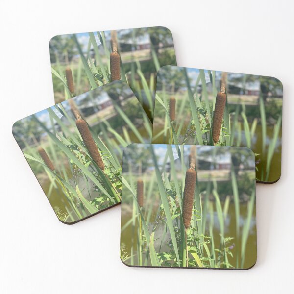 Item preview, Cattails  designed and sold by bradleyduncan.