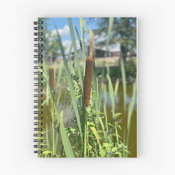 Item preview, Cattails  designed and sold by bradleyduncan.