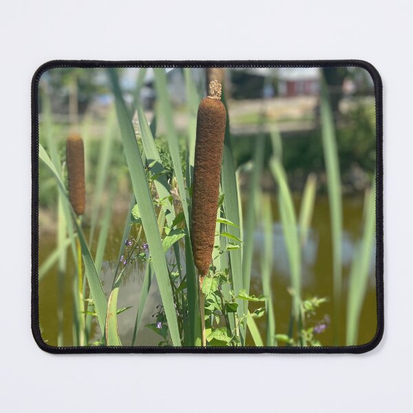 Item preview, Cattails  designed and sold by bradleyduncan.