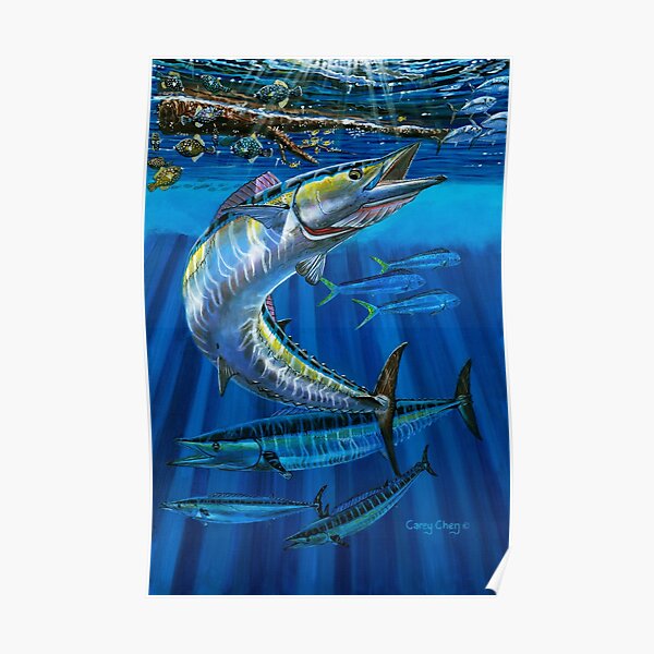 Download Offshore Fishing Posters Redbubble