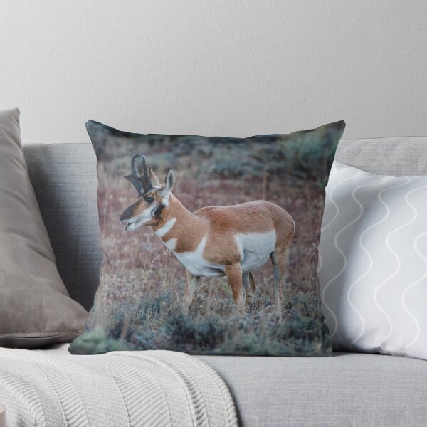 Artikelvorschau, Pronghorn, Grand-Teton-Nationalpark entworfen und verkauft von ShleeSnaps.