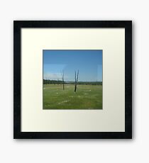 twins Framed Print