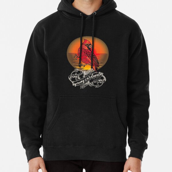 Alexisonfire Pullover Hoodie for Sale by Ablesie16 Redbubble