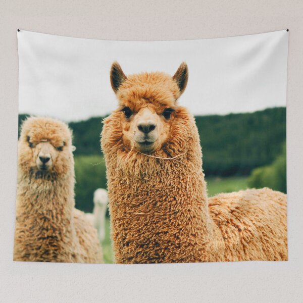 Item preview, ANIMALS #75 - Adorable Plush Llamas designed and sold by DEL-Productions.