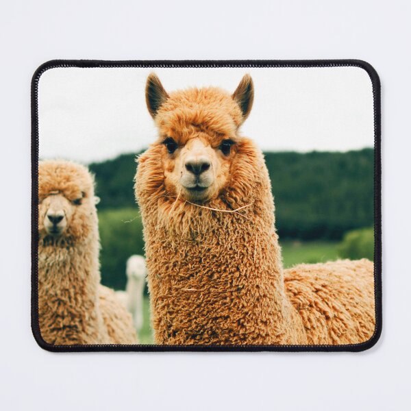 Item preview, ANIMALS #75 - Adorable Plush Llamas designed and sold by DEL-Productions.