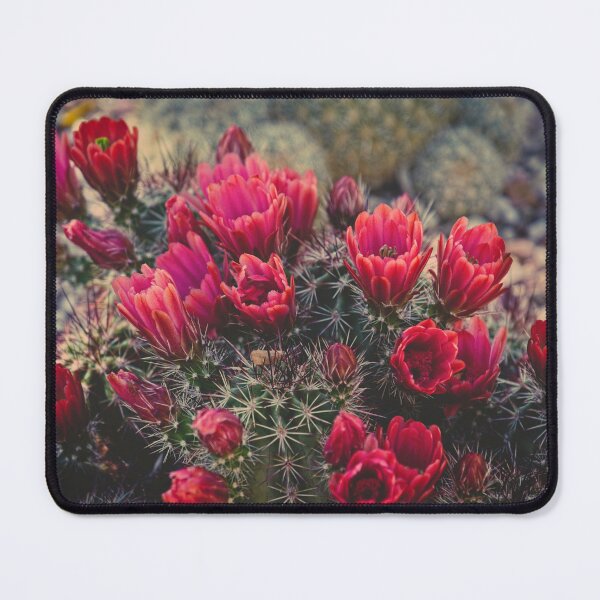 Item preview, Claret Cup Blooms designed and sold by Lucinda Walter.