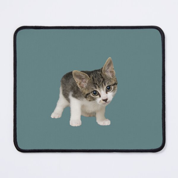 Item preview, cute kitty to love designed and sold by ideas favoritas.