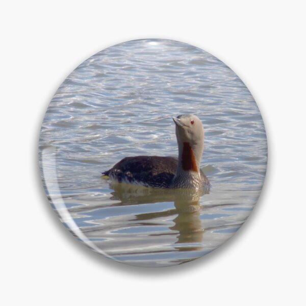 Item preview, Red-throat loons (Gavia stellata) designed and sold by Vidarleikur.