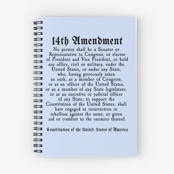 Item preview, 14th Amendment US Constitution Section 3 designed and sold by LoveAndDefiance.