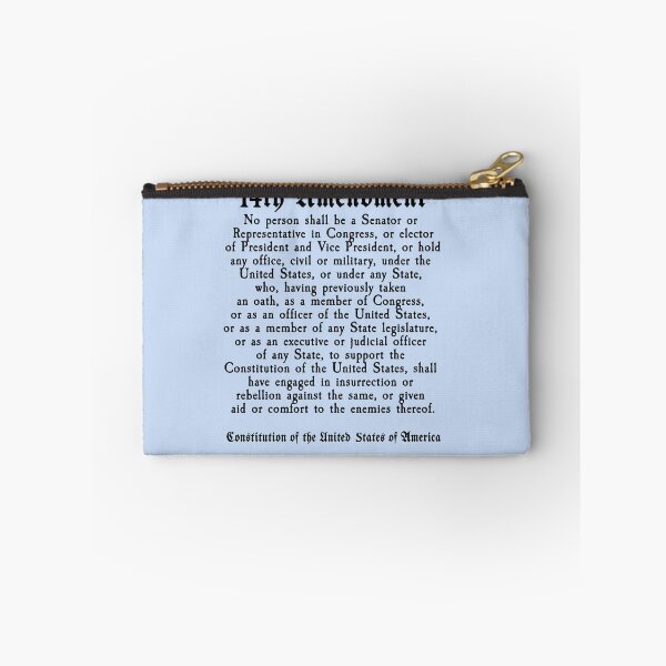 Item preview, 14th Amendment US Constitution Section 3 designed and sold by LoveAndDefiance.