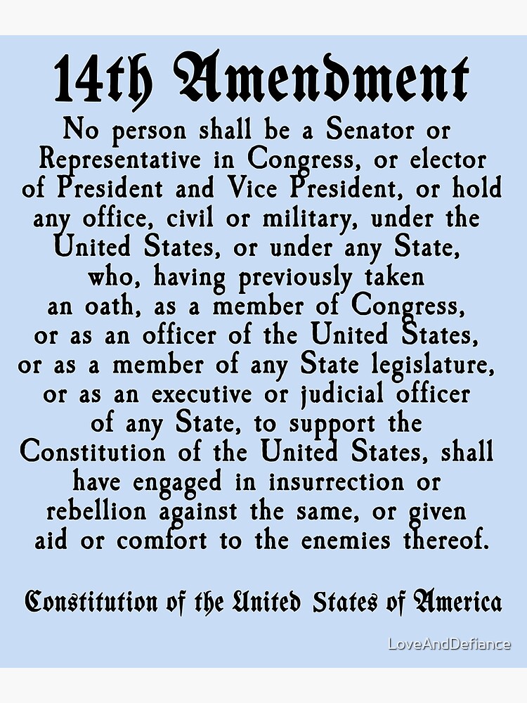 14th Amendment US Constitution Section 3" Poster for Sale by LoveAndDefiance | Redbubble