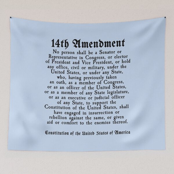 Item preview, 14th Amendment US Constitution Section 3 designed and sold by LoveAndDefiance.