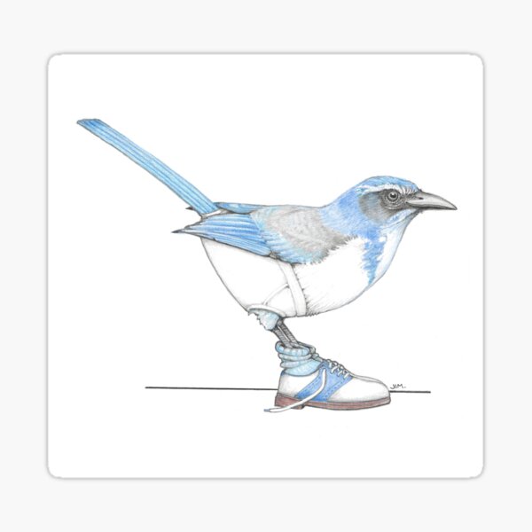 Item preview, Scrub Jay in Saddle Shoes designed and sold by JimsBirds.