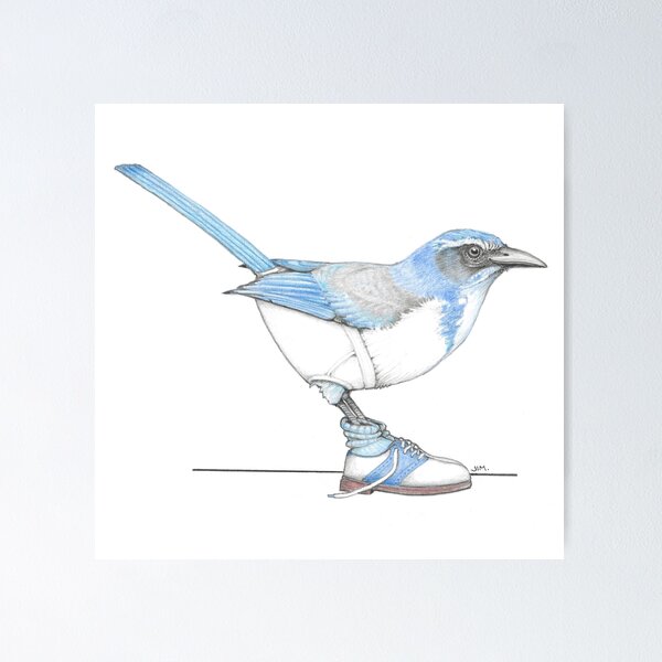 Item preview, Scrub Jay in Saddle Shoes designed and sold by JimsBirds.