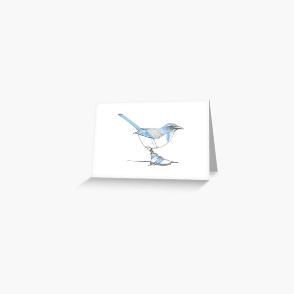 Item preview, Scrub Jay in Saddle Shoes designed and sold by JimsBirds.