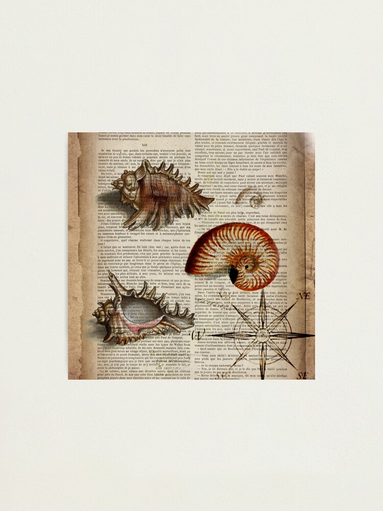 Vintage Wale Print Wale Wall Art Wale Print Nautical Print