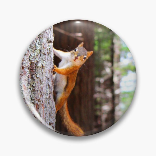 Item preview, ANIMALS #76 - Curious Squirrel Hanging from Tree designed and sold by DEL-Productions.