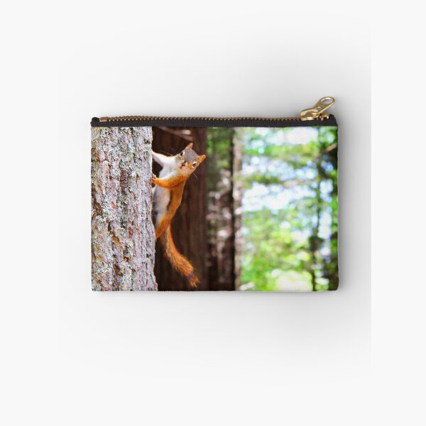 Item preview, ANIMALS #76 - Curious Squirrel Hanging from Tree designed and sold by DEL-Productions.