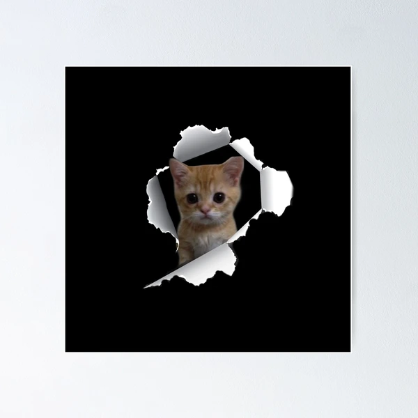 3d cat in a paper tier Poster for Sale by Amjadoxe