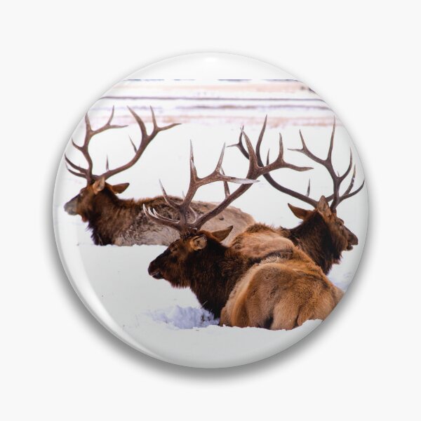 Item preview, ANIMALS #77 - Male Elk in Snow - Magnificent Antlers designed and sold by DEL-Productions.