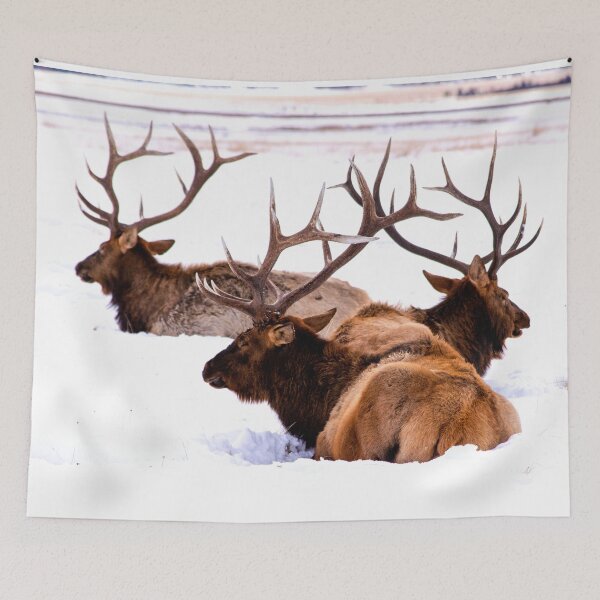Item preview, ANIMALS #77 - Male Elk in Snow - Magnificent Antlers designed and sold by DEL-Productions.