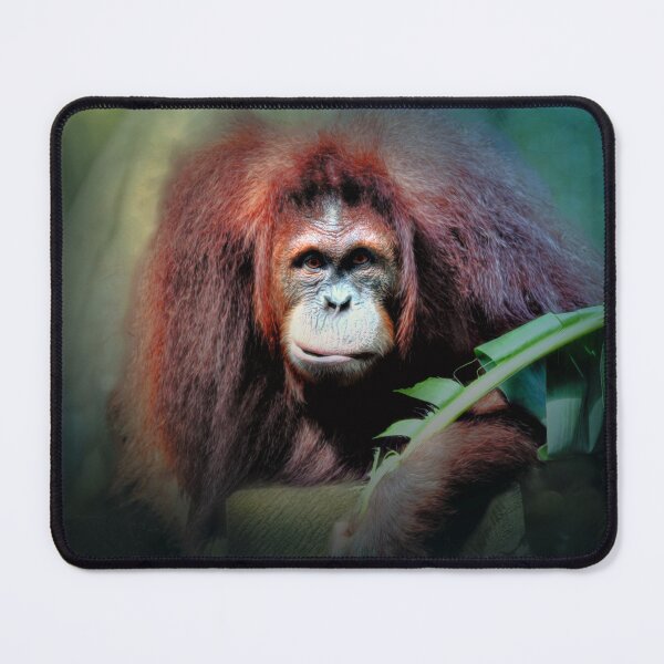 Item preview, Sumatran Orangutan  designed and sold by Savannah Gibbs.