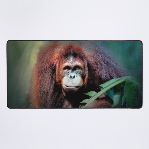 Item preview, Sumatran Orangutan  designed and sold by Savannah Gibbs.