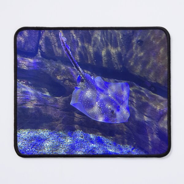 Item preview, Sting ray  designed and sold by lol1310.