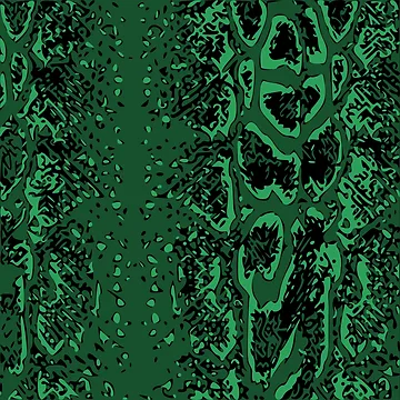 Artwork thumbnail, Python Skin Design by DesignFantazia