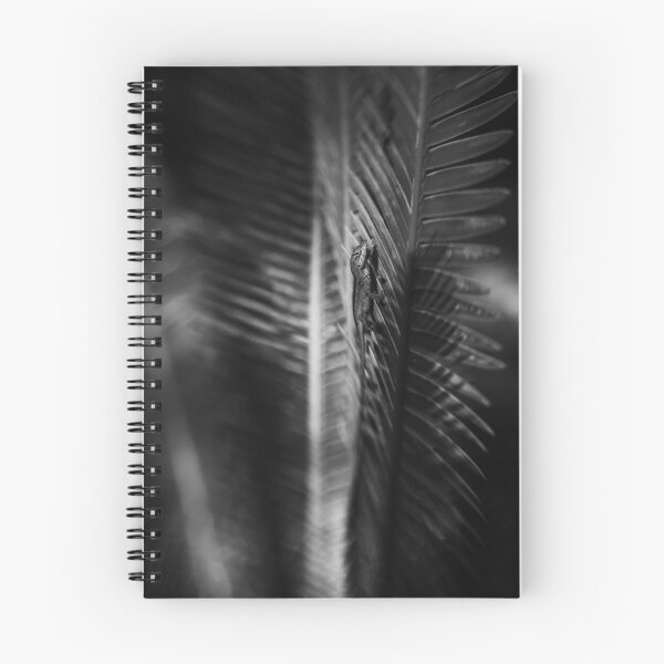 Item preview, Shadow Play designed and sold by AEricksonPhoto.