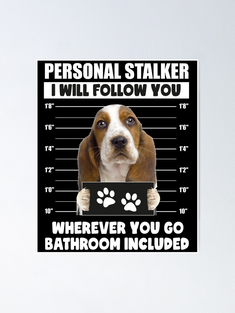 Funny Basset Hound Puppy Sayings, Personal Stalker Dog, Basset