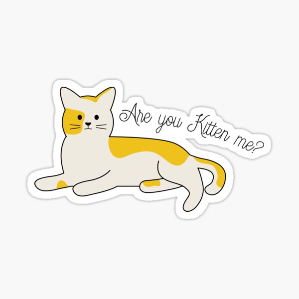 Are You Kitten Me Funny Cat Sticker For Sale By Koutoubia Redbubble 