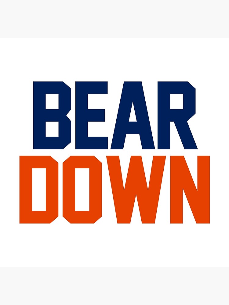 chicago bears board