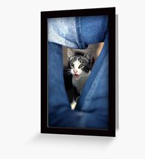 Playful Greeting Card