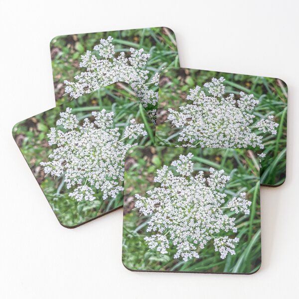 Item preview, Queen Anne's Lace  designed and sold by arfff.