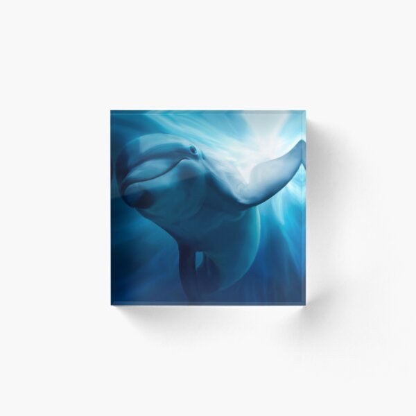 Dolphin Acrylic Block
