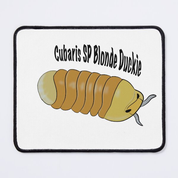 Item preview, Cubaris blonde duckie designed and sold by c4stones.