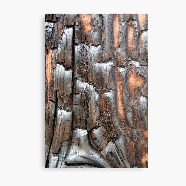 Charred Metal Print