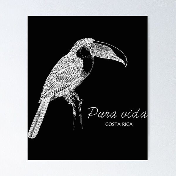 Item preview, Costa Rica Toucan Fitted  designed and sold by AhalyaRai8.