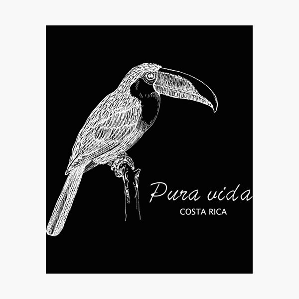 Item preview, Costa Rica Toucan Fitted  designed and sold by AhalyaRai8.