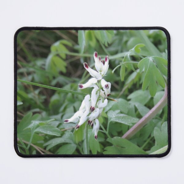Item preview, White ramping fumitory designed and sold by greentiger1.