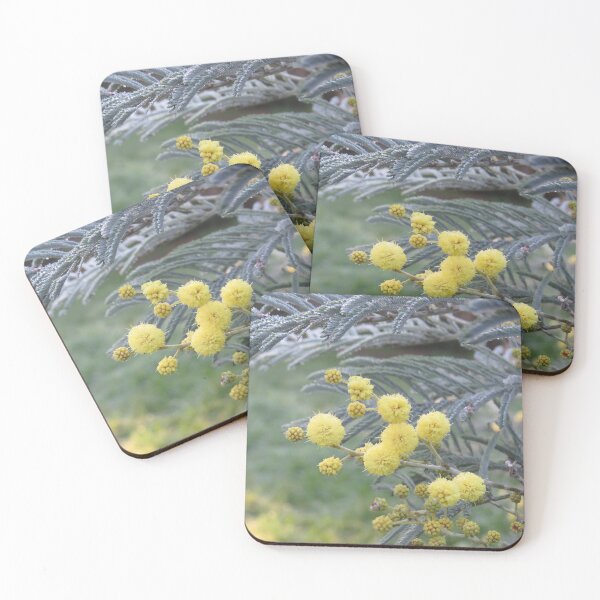 Item preview, Silver wattle flowers designed and sold by greentiger1.